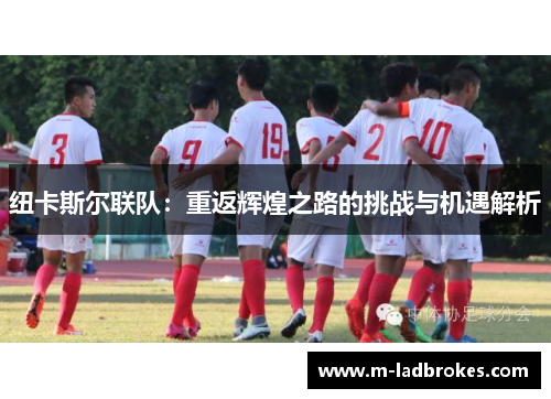 纽卡斯尔联队：重返辉煌之路的挑战与机遇解析