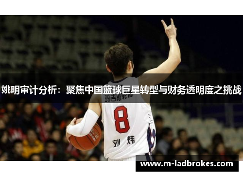 姚明审计分析：聚焦中国篮球巨星转型与财务透明度之挑战