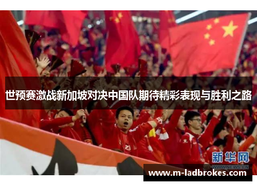 世预赛激战新加坡对决中国队期待精彩表现与胜利之路