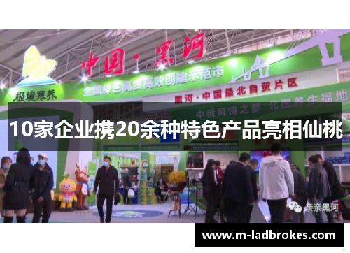 10家企业携20余种特色产品亮相仙桃